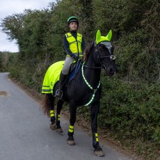 Woof Wear LED Neck Band (Hi Viz Yellow) Woof Wear LED Neck Band (Hi Viz Yellow)