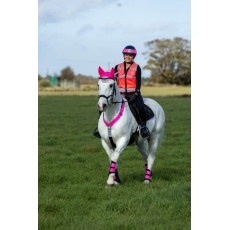 Woof Wear High Viz Riding Vest (Pink) - Not Certified Woof Wear High Viz Riding Vest (Pink) - Not Certified