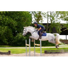 Woof Wear Mens Original Breeches - Knee Grip (Navy) Woof Wear Mens Original Breeches - Knee Grip (Navy)