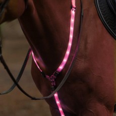 Woof Wear LED Neck Band (Hi Viz Pink) Woof Wear LED Neck Band (Hi Viz Pink)