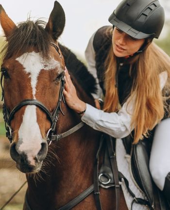Horse & Equestrian Supplies & Essentials
