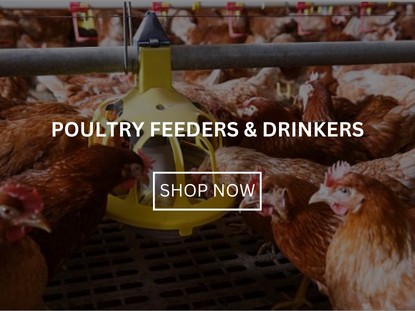 Poultry Feeders & Drinkers