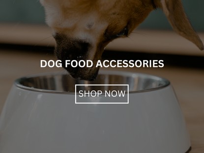 Dog Food Accessories