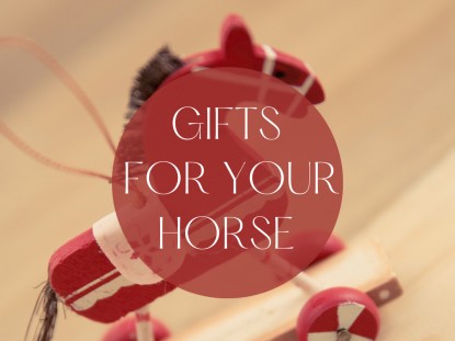 Gifts for Horses