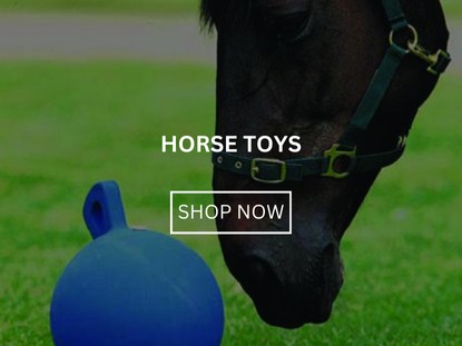 Horse Toys