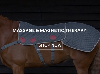 Massage & Magnetic Therapy