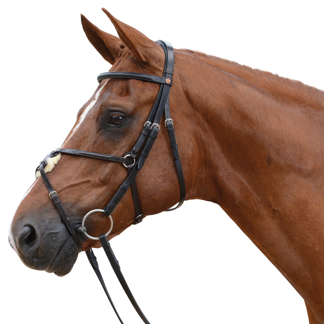 Albion KB Competition Snaffle Bridle with Grackle - Wychanger Barton