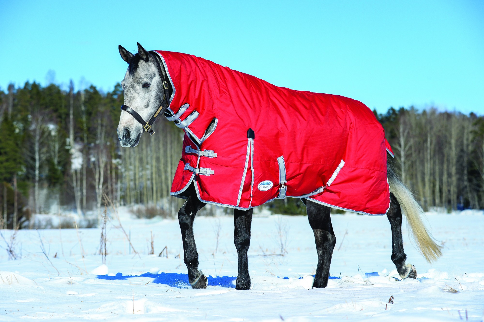 Weatherbeeta Comfitec Classic Turnout Rug Combo Neck 300g - Wychanger ...