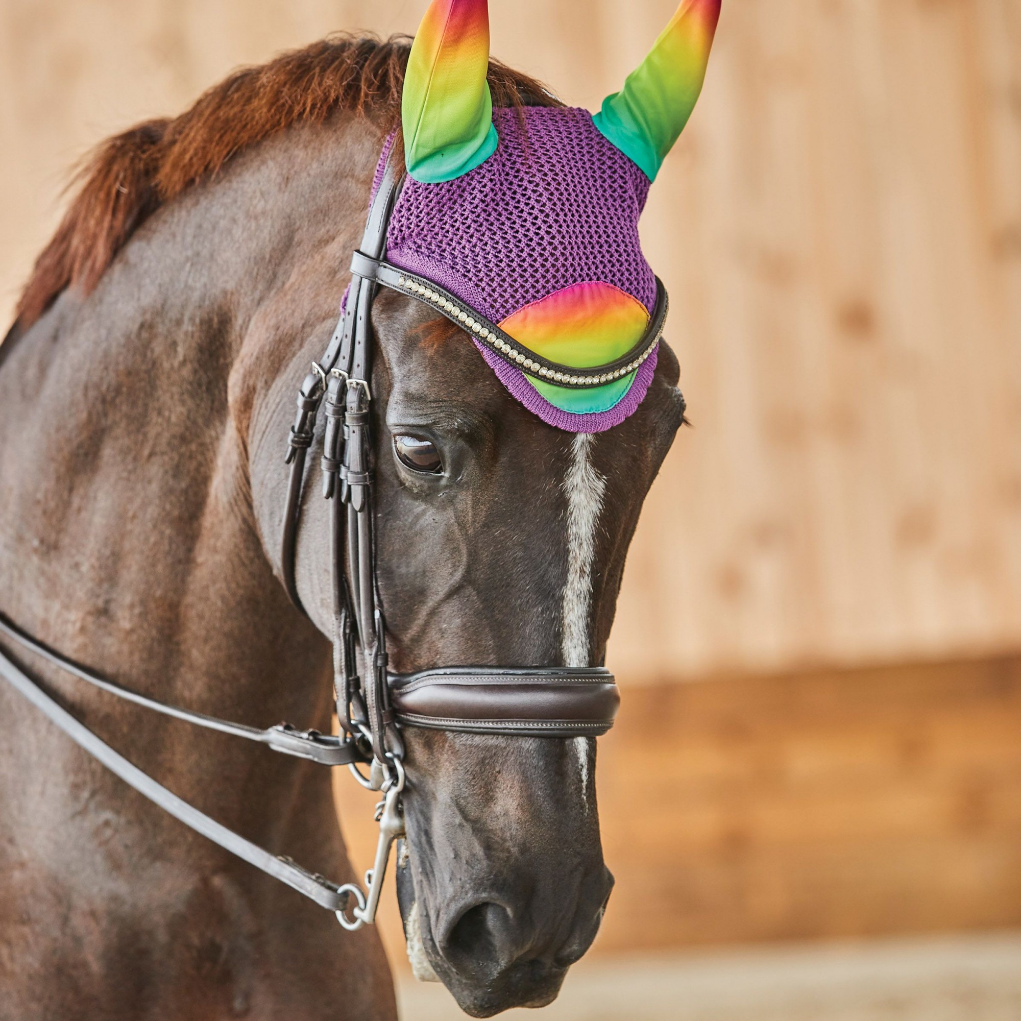 Horse on sale ear bonnet