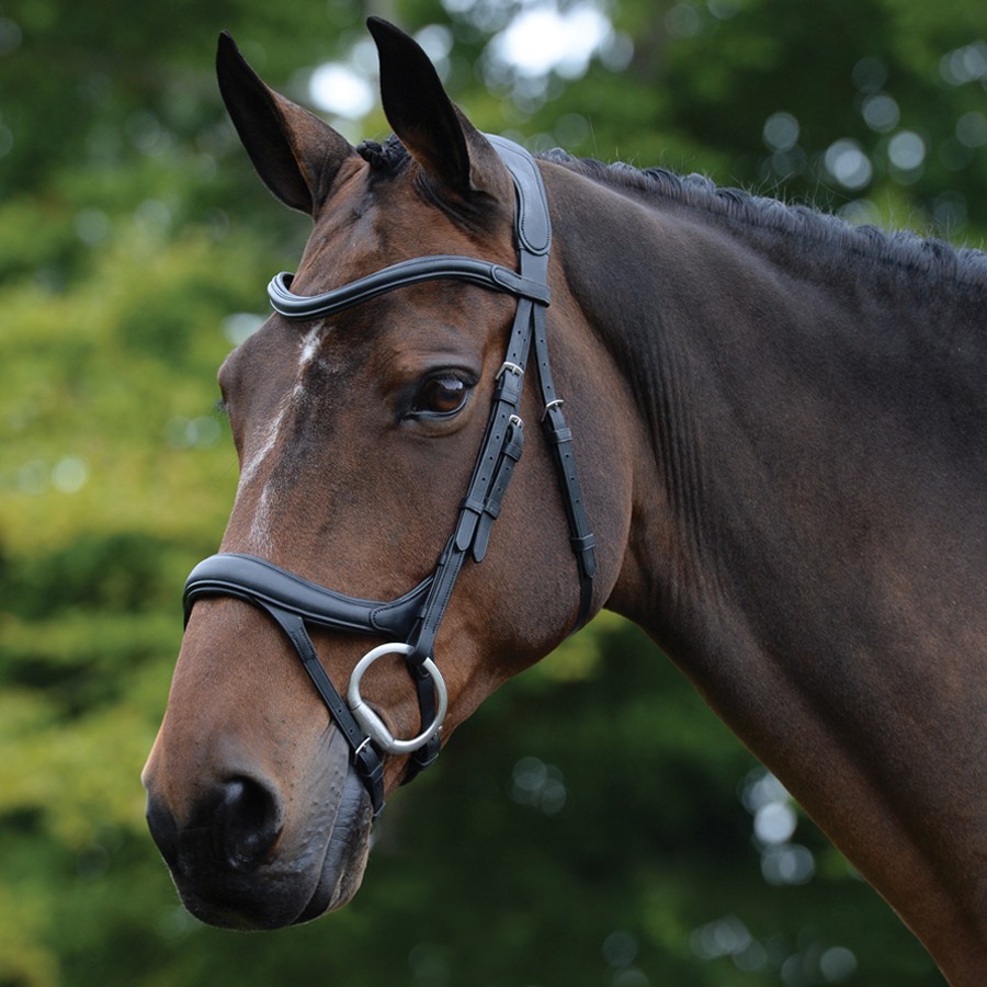 Collegiate Comfitec Vogue Anatomical Bridle (Black) - Wychanger Barton