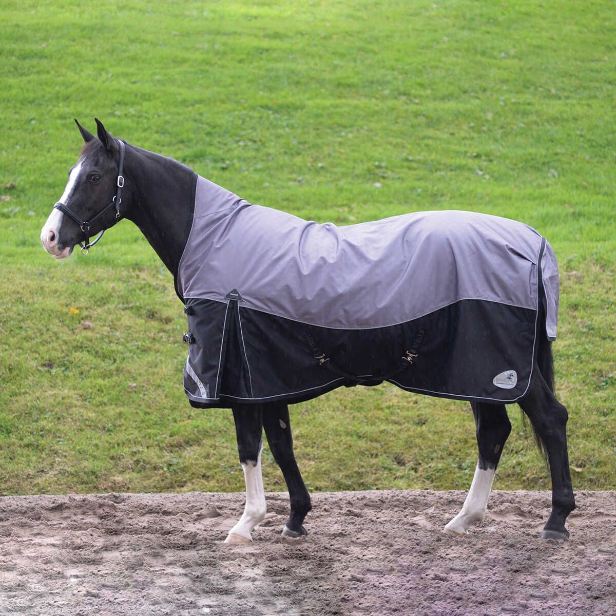 Masta Turnoutmasta 200g High Neck Turnout Rug Black - Wychanger Barton