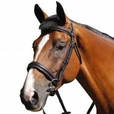 Mark Todd (Clearance) Padded Cavesson Bridle (Brown)