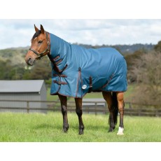 Weatherbeeta Comfitec Classic Combo Neck 360g Heavyweight Turnout (Dark Blue/Coffee)