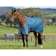 Weatherbeeta Comfitec Classic Standard Neck 220g Mediumweight Turnout (Dark Blue/Coffee)