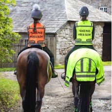 Woof Wear Adults High Viz Riding Vest (Orange)