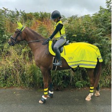 Woof Wear Summer High Viz Exercise Sheet (Yellow)