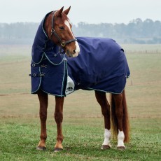 Weatherbeeta Comfitec Plus Dynamic Detach-a-Neck Turnout 100g (Navy/Forest Green) Weatherbeeta Comfitec Plus Dynamic Detach-a-Neck Turnout 100g (Navy/Forest Green)