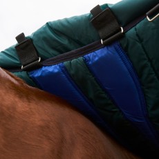 Weatherbeeta Comfitec Plus Dynamic Detach-a-Neck Turnout 0g (Navy/Forest Green) Weatherbeeta Comfitec Plus Dynamic Detach-a-Neck Turnout 0g (Navy/Forest Green)