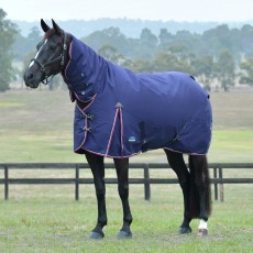 Weatherbeeta Comfitec Essential Turnout Combo 220g (Navy/Burgundy) Weatherbeeta Comfitec Essential Turnout Combo 220g (Navy/Burgundy)