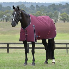 Weatherbeeta Comfitec Essential Standard Neck Turnout 220g (Navy/Burgundy) Weatherbeeta Comfitec Essential Standard Neck Turnout 220g (Navy/Burgundy)