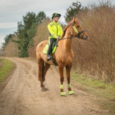 HyVIZ Reflective Over Reach Boots