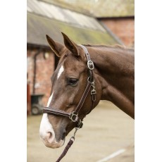 Mark Todd Leather Raised Fancy Stitch Headcollar (Havana)