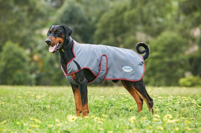 Weatherbeeta Comfitec Windbreaker Free Parka Deluxe Dog Coat (Grey/Burgundy)