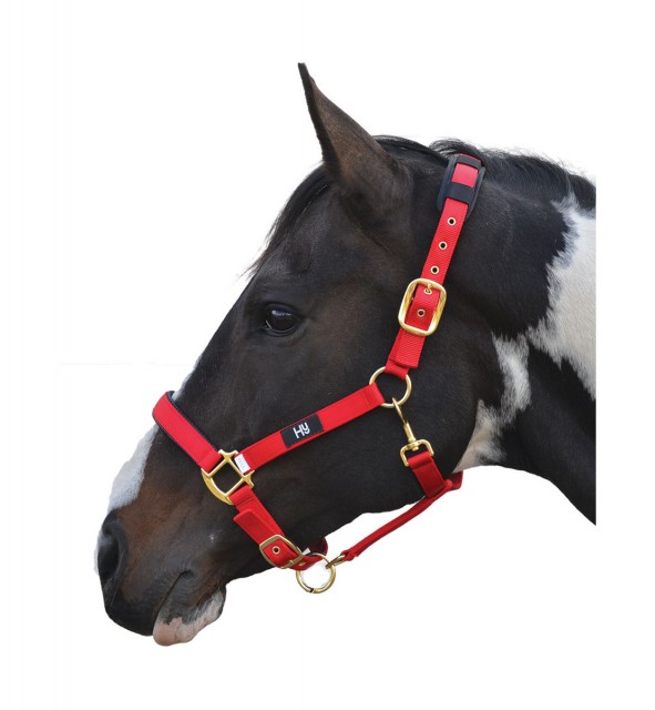 Hy Deluxe Padded Head Collar (Red)