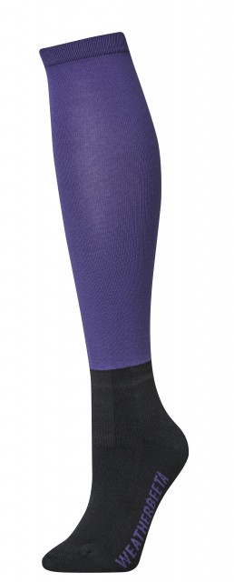 Weatherbeeta Prime Stocking Socks (Violet)