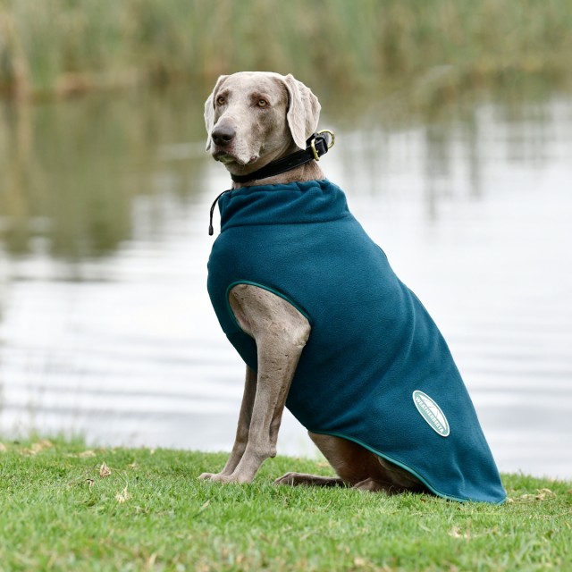 Weatherbeeta Green-Tec Fleece Zip Dog Coat (Dragonfly Blue/Bottle Green)