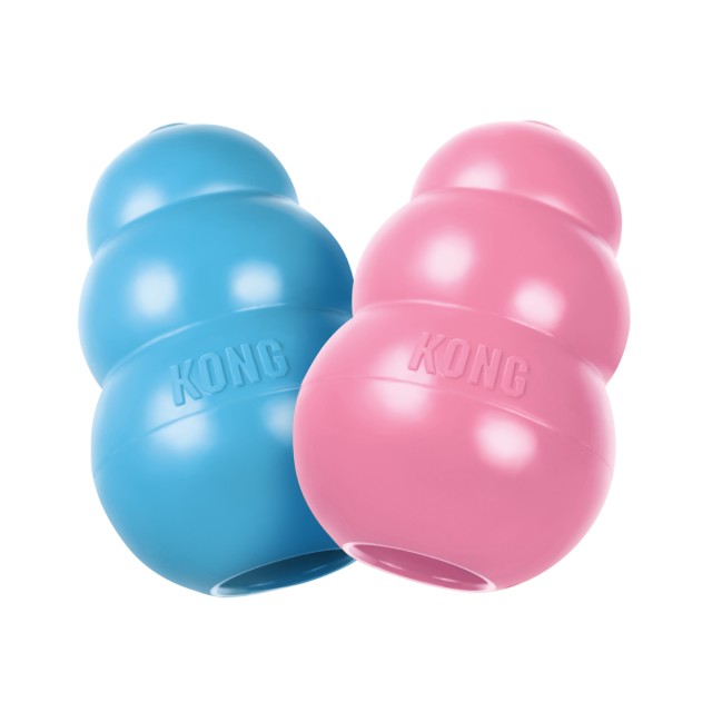 KONG Puppy (Assorted Colours)