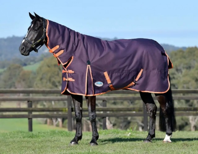 Weatherbeeta Comfitec Essential Combo Neck 360g Heavyweight Turnout (Plum/Orange/Grey)