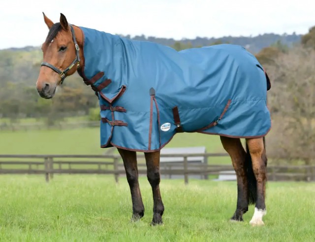 Weatherbeeta Comfitec Classic Combo Neck 50g Lite Plus Turnout (Dark Blue/Coffee)