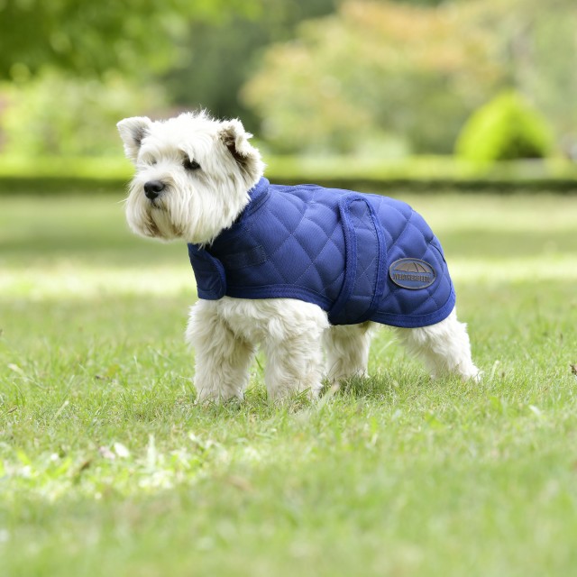 Weatherbeeta Comfitec Deluxe Diamond Quilt Dog Coat (Navy)