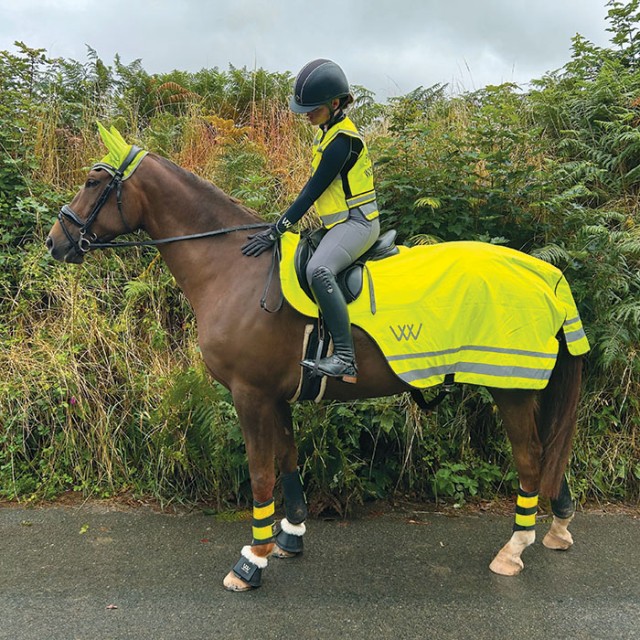 Woof Wear Summer High Viz Exercise Sheet (Yellow)